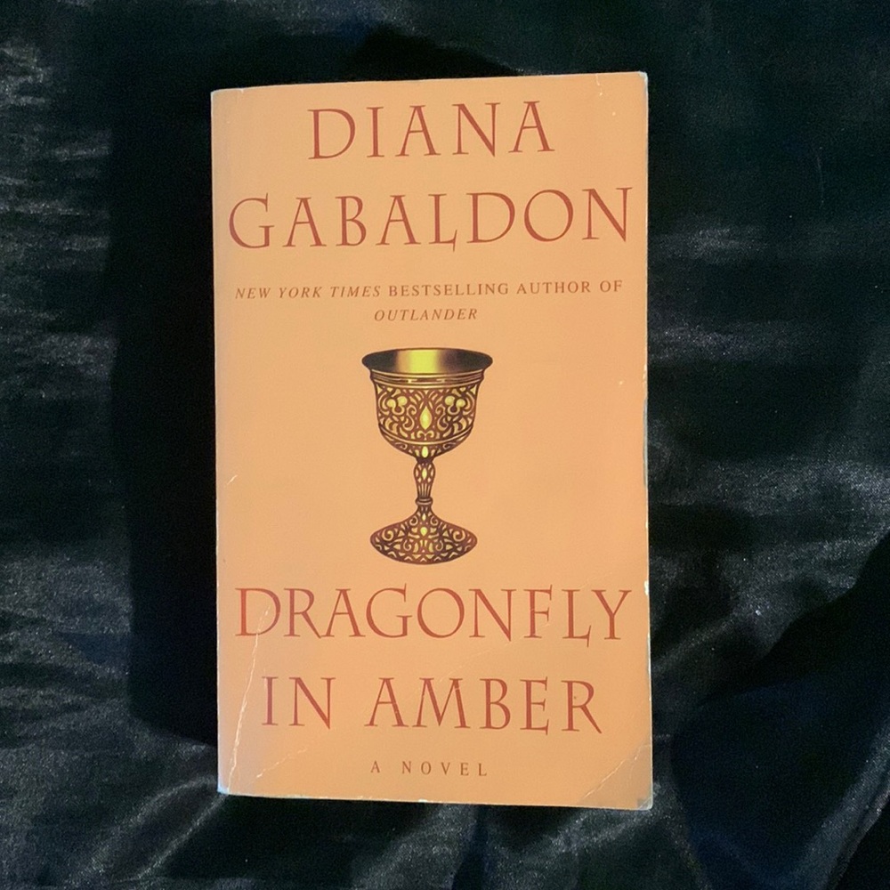 GOOD BOOK! Dragonfly In Amber